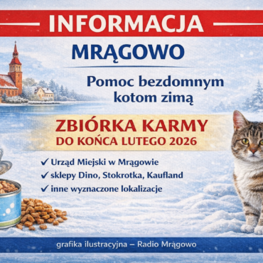 pomoc bezdomnym kotom Mrągowo zbiórka karmy
