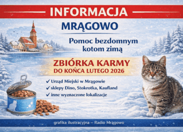 pomoc bezdomnym kotom Mrągowo zbiórka karmy