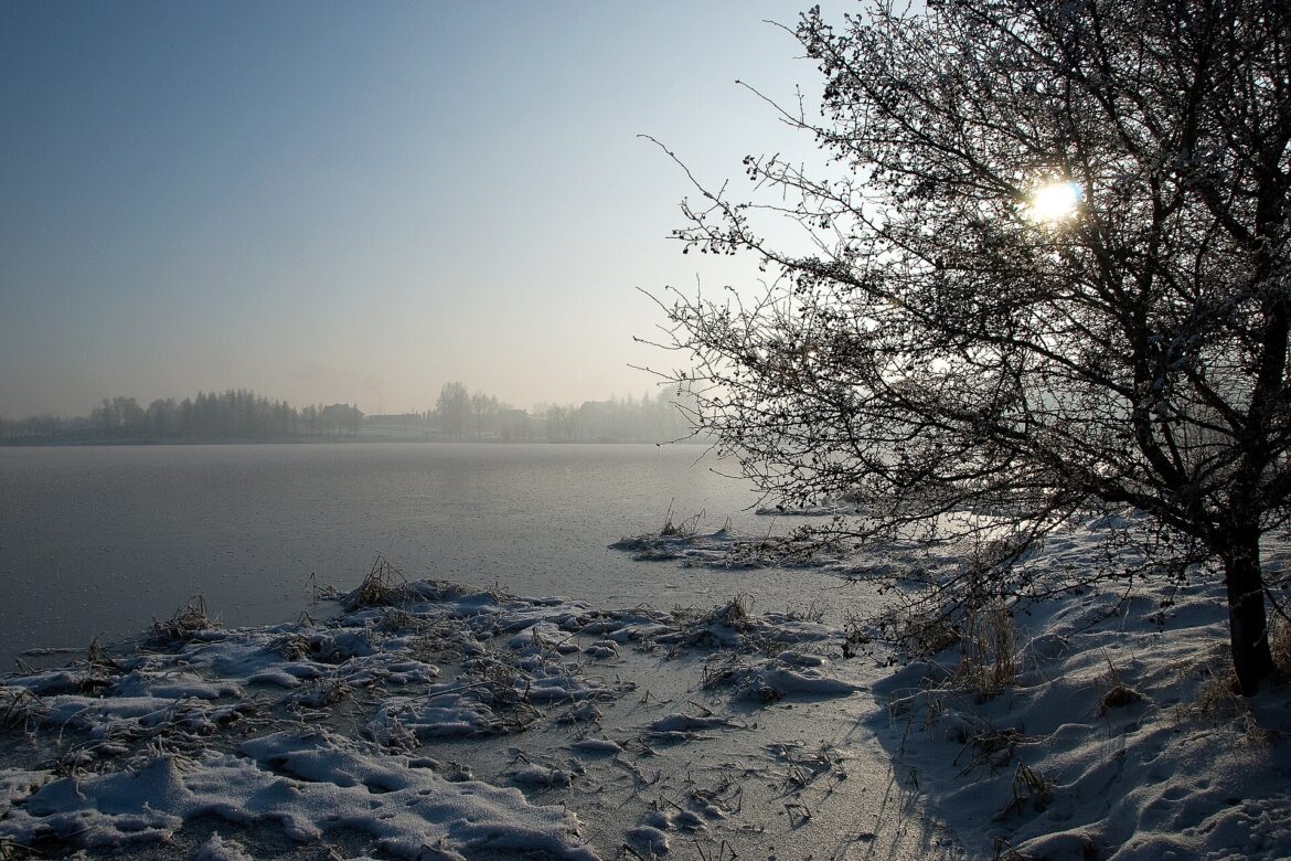 Winter