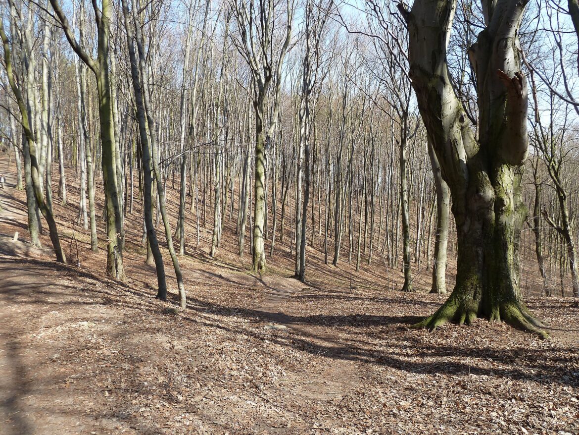 Kleszcze i komary nad jeziorem — praktyczne porady