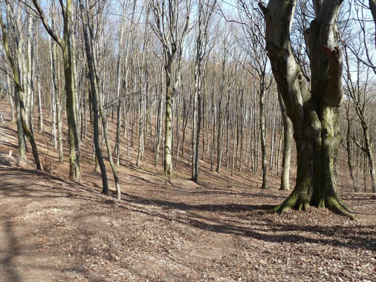 Kleszcze i komary nad jeziorem — praktyczne porady